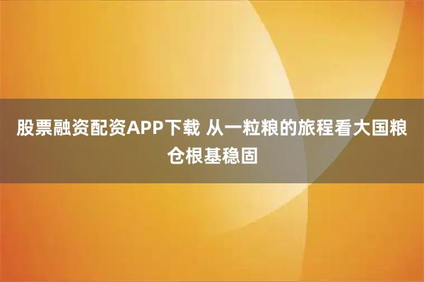 股票融资配资APP下载 从一粒粮的旅程看大国粮仓根基稳固