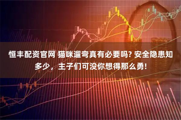 恒丰配资官网 猫咪遛弯真有必要吗? 安全隐患知多少，主子们可没你想得那么勇!