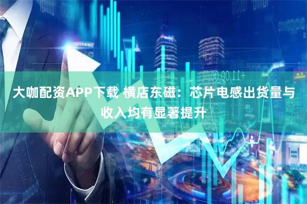 大咖配资APP下载 横店东磁：芯片电感出货量与收入均有显著提升