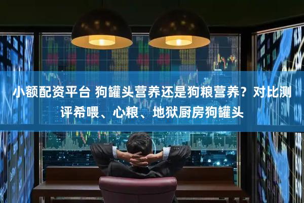 小额配资平台 狗罐头营养还是狗粮营养？对比测评希喂、心粮、地狱厨房狗罐头