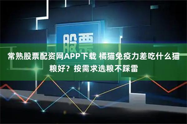 常熟股票配资网APP下载 橘猫免疫力差吃什么猫粮好？按需求选粮不踩雷
