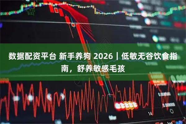 数据配资平台 新手养狗 2026｜低敏无谷饮食指南，舒养敏感毛孩
